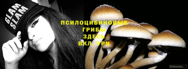 Альфа ПВП Алзамай