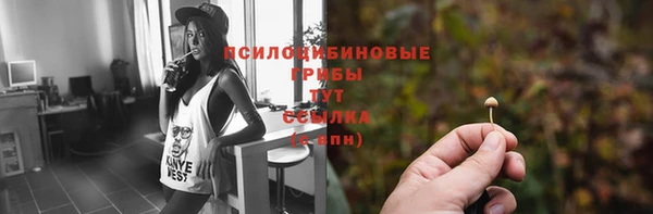 гидра Алексин