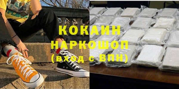 гидра Алексин