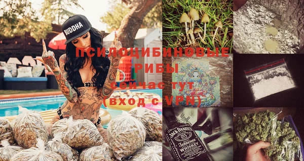 2c-b Алексеевка