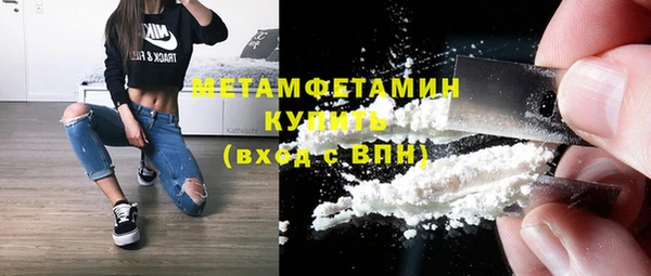 гидра Алексин